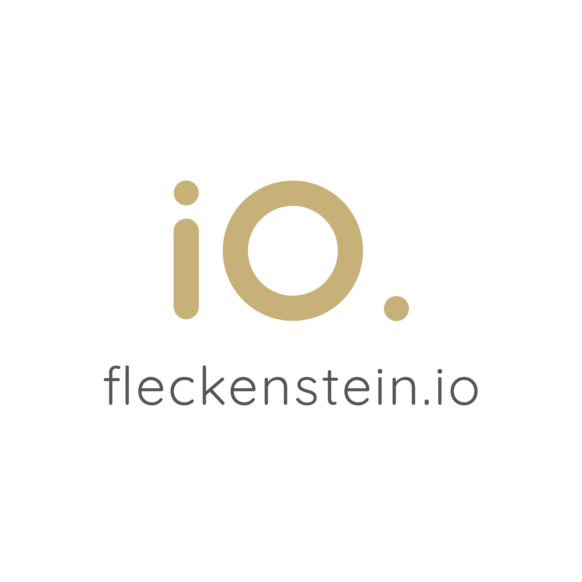 Fleckenstein IO 